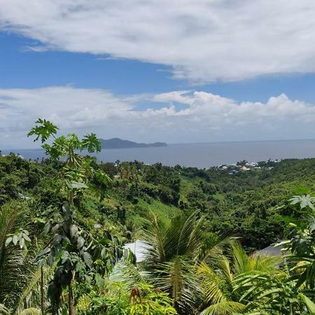 Ferienwohnung Escale Caraibes Trois-Rivières Exterior foto
