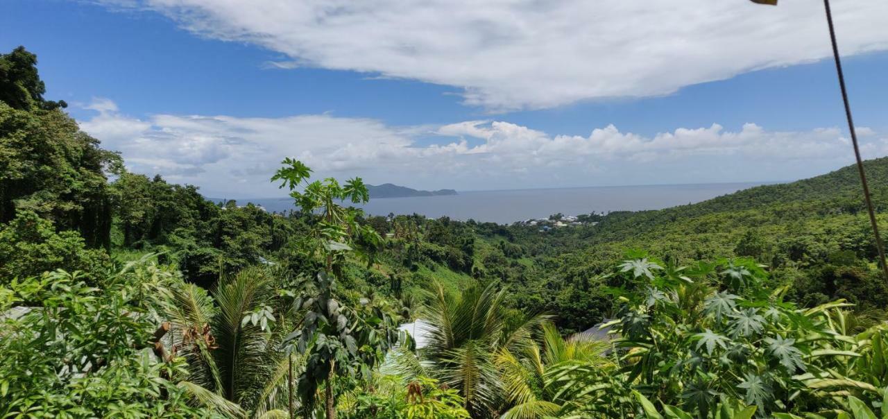 Ferienwohnung Escale Caraibes Trois-Rivières Exterior foto